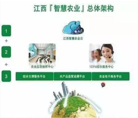 江西省农业农村厅智慧农业建设PPP项目监理服务项目